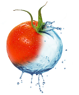 tomato image